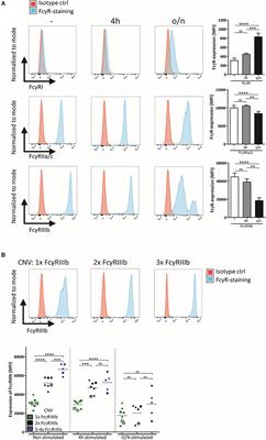 FcγRIIIb Restricts Antibody-Dependent Destruction of Cancer Cells by Human Neutrophils